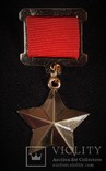 Золотая звезда Герой Советского Союза СССР копия, фото №3