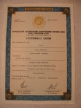 103244 Сертификат акций банка 49 акций на 490 000 крб. Акция банка, фото №2