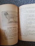 Каталог охотничьих собак всегрузинской выставки 1949 год., фото №6