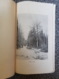 Таблицам сбега Осины Европейской России 1911 год., фото №6