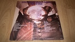 Goombay Dance Band (Land Of Gold) 1980. (LP). 12. Vinyl. Пластинка. Holland. NM/EX+, фото №3
