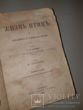 1866 Жизнь птиц с 27 цветными иллюстрациями, фото №3