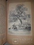 1866 Жизнь птиц с 27 цветными иллюстрациями, фото №8