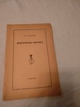 Поетика Шевченка Яр Славутич, фото №3