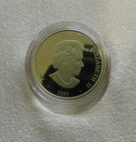 Канада год Петуха 2005 год 750` 13.6гр, фото №4