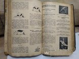 Подшивка Спорт журнал " Геркулес" 18 шт. 1914-1916, фото №5