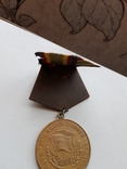 Медаль ГДР, Германия, фото №4