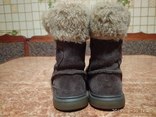 Замшеві чобітки р.20 Clarks, photo number 10