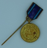Польша. Медаль "За Одру, Ниссу, Балтик". Миниатюра., фото №2