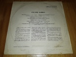Сестри Байко (Співають Сестри Байко) 1977. (LP). 12. Vinyl. Пластинка. Rare., фото №3