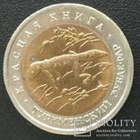 Красная книга 1992 -1993г. 8 монет, фото №8