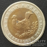 Красная книга 1992 -1993г. 8 монет, фото №9