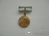 Медаль Материнства, фото №2