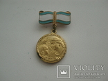 Медаль Материнства, фото №3