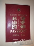 Passport. Паспорт боевых искусств. Чистый бланк., фото №9