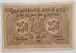 УНР 250 карбованцев 1918, фото №2