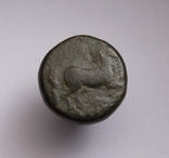 Фракія, м.Маронея, 398/7-348/7 до н.е., фото №3