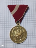 Медаль За заслуги перед Австрийской Республикой 1 ст., фото №2