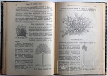 1911  Основы виноделия. Лялин Л. М., фото №10