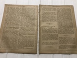 1884 Проделки евреев, Без цензуры Лучь, фото №4