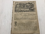 1884 К разрешению жидовского вопроса, журнал без цензуры Лучь, фото №3