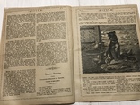 1884 К разрешению жидовского вопроса, журнал без цензуры Лучь, фото №8