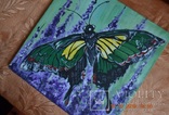 Картина "Метелик", 40х40 см., акрил, липень 2019 р., Марина Овдієнко, 12 років, фото №4