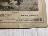 1884 Сведения о занятиях евреев, Без цензуры Лучь, фото №10