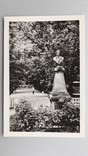 Открытка Житомир 1958 год памятник Пушкину в парке культуры листівка, фото №2
