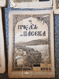 Журнал Пчела и Пасека 1926 год № 1-4,6,7-8, 9,10., фото №5