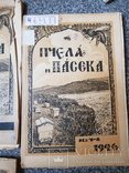 Журнал Пчела и Пасека 1926 год № 1-4,6,7-8, 9,10., фото №6
