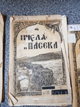 Журнал Пчела и Пасека 1926 год № 1-4,6,7-8, 9,10., фото №7