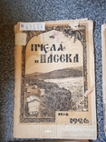 Журнал Пчела и Пасека 1926 год № 1-4,6,7-8, 9,10., фото №8