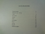 А.Вентури. Художники нового времени, фото №6