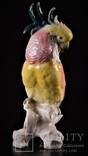 Попугай Какаду Германия Karl Ens, фото №2