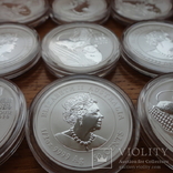 Монета Год крысы 2020 Серебро 999 пробы Австралия, фото №3