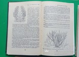 Бджільництво, пасіка, вулики. Пчеловодство, ульи пчолы., фото №4