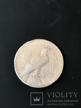Доллар 1922 года, серебро. Мирный доллар, фото №4