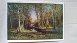 Худ.І.І Шишкін " Лісове болото", фото №2