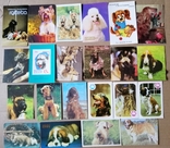 Календарики собачки. 100 шт., фото №3