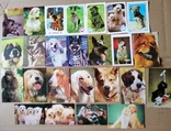 Календарики собачки. 100 шт., фото №5
