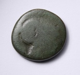 Македонське царство, Антигон ІІ Гонат, 277-239 до н.е., фото №3