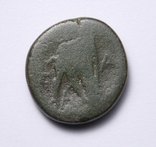 Македонське царство, Антигон ІІ Гонат, 277-239 до н.е., фото №8