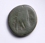 Македонське царство, Антигон ІІ Гонат, 277-239 до н.е., фото №9