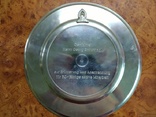 Настенная тарелка-Бургленгенфельд (Германия),металл, фото №4