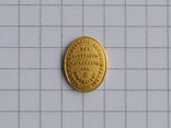 Золотая накладка на орден. Испания., фото №2