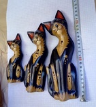 Три котика бальс Индонезия, фото №6