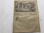 1885 Про еврейские погромы 1881 года, Лучь, фото №2