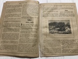 1885 Про еврейские погромы 1881 года, Лучь, фото №4