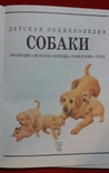 Детская энциклопедия *Собаки* 2001г. Москва, фото №5